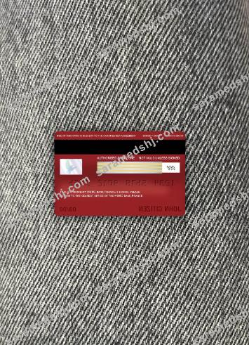 France HSBC bank visa classic card photolook back